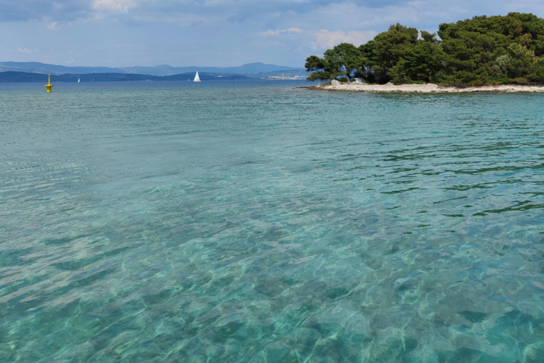 Split day 7